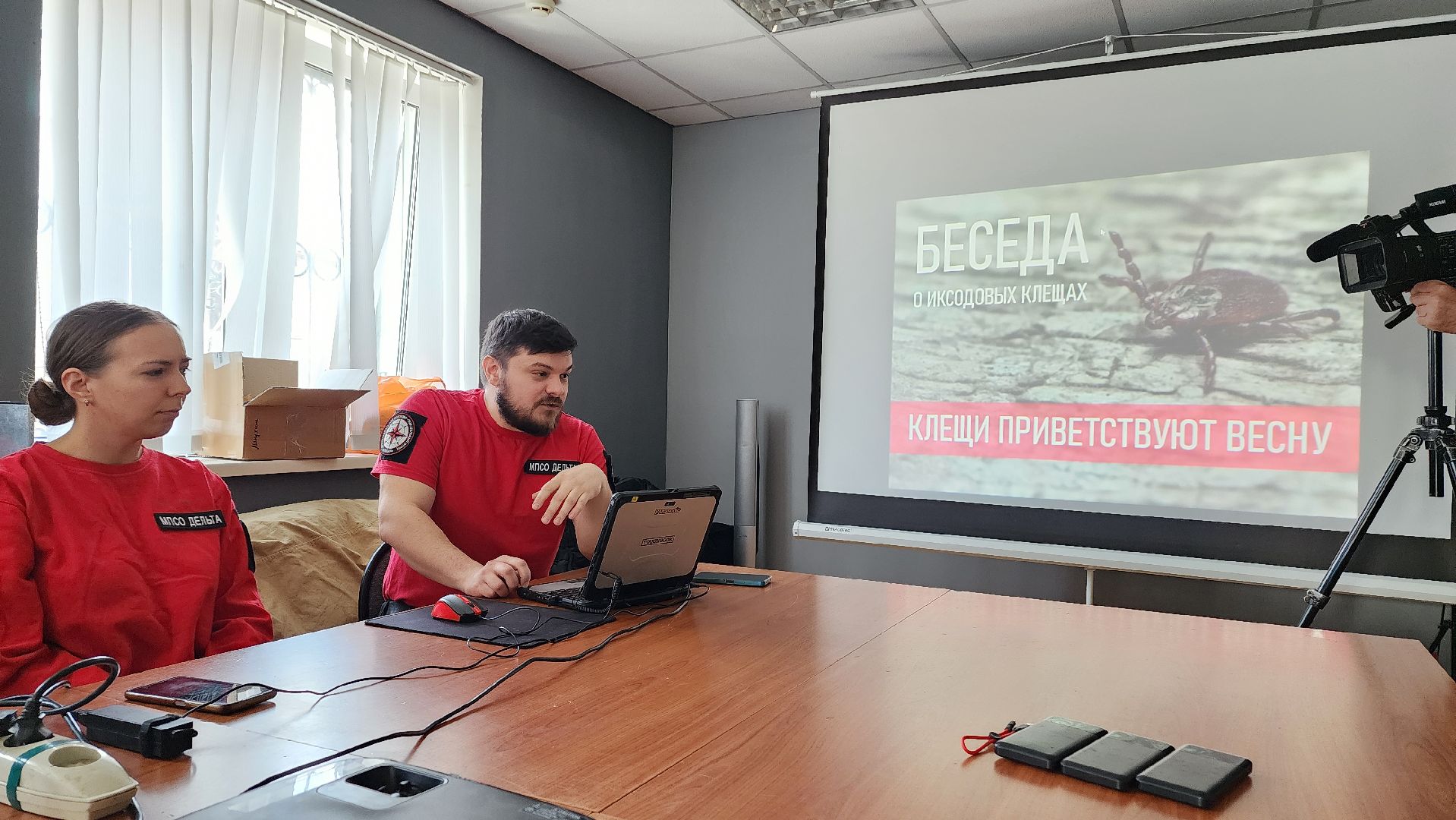 сезон клещей, клещи, природа, лес, экология, здоровье,репеллент,  боррелиоз, энцефалит, домодедово, врач, подмосковье,