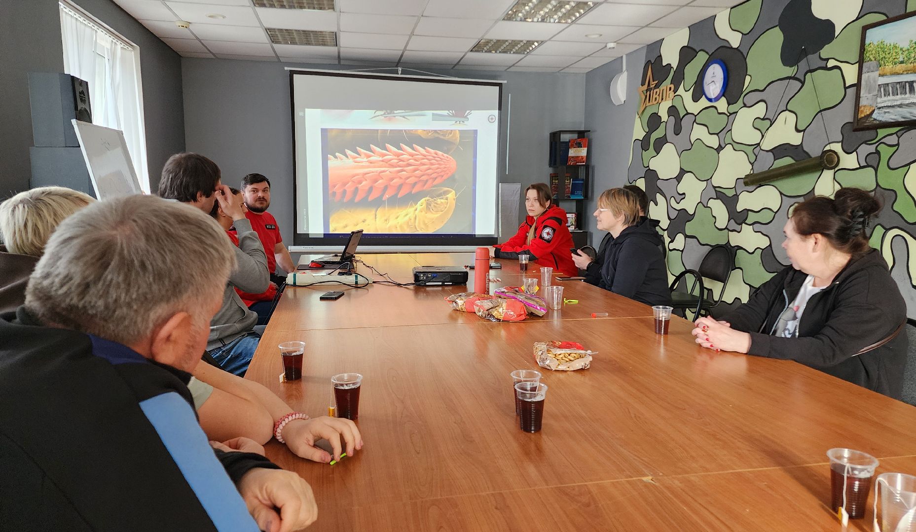 сезон клещей, клещи, природа, лес, экология, здоровье,репеллент,  боррелиоз, энцефалит, домодедово, врач, подмосковье,