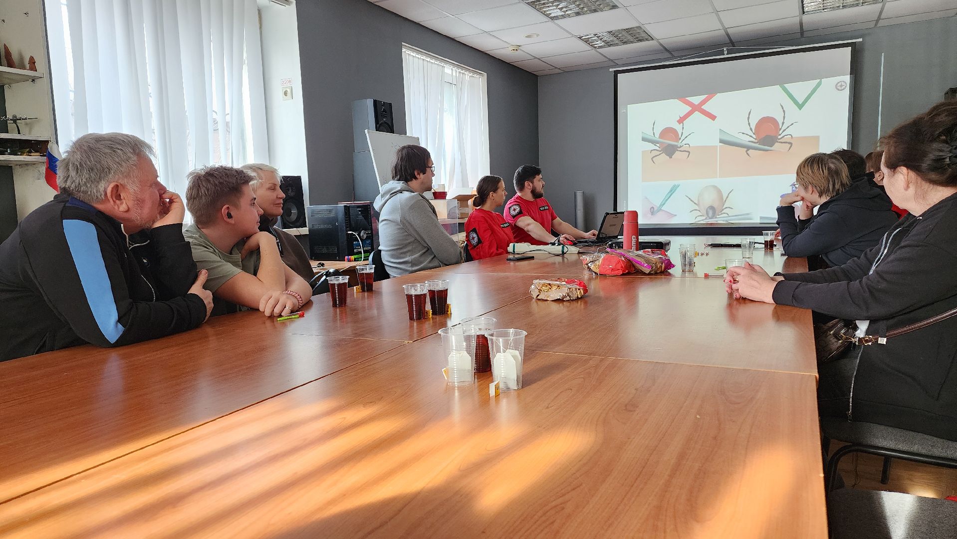 сезон клещей, клещи, природа, лес, экология, здоровье,репеллент,  боррелиоз, энцефалит, домодедово, врач, подмосковье,