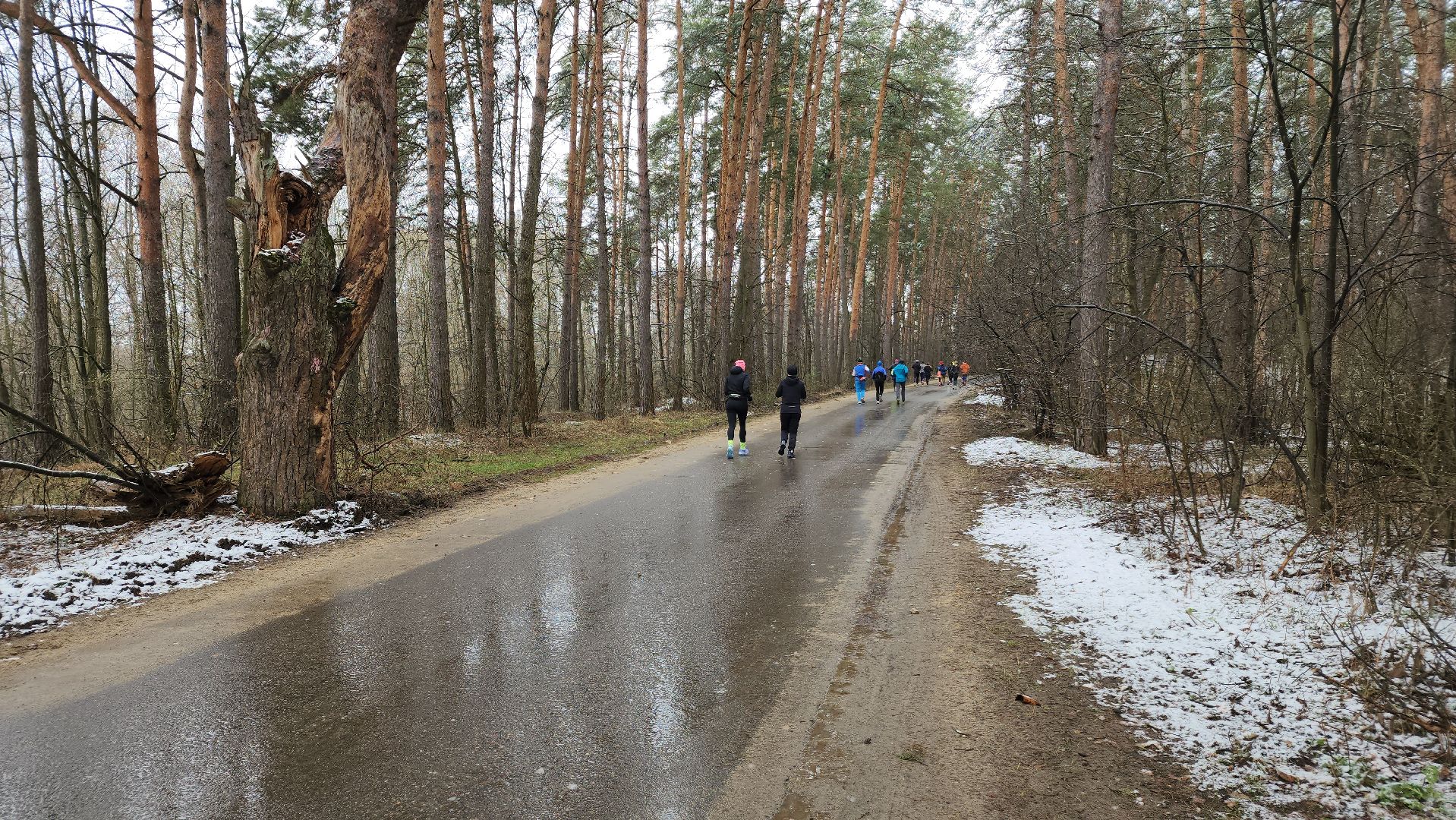 ступино, спорт, легкая отлетика,