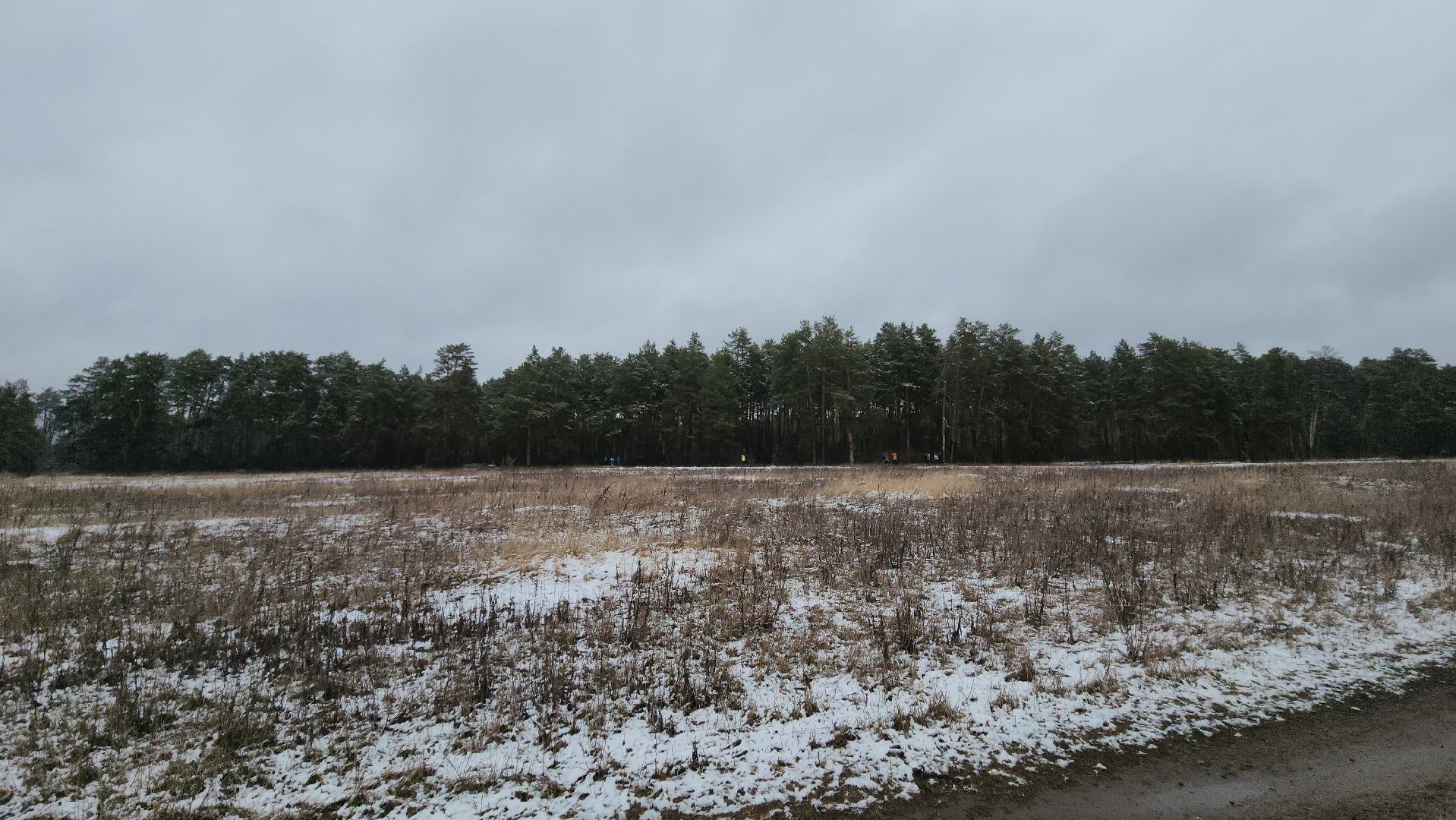 ступино, спорт, легкая отлетика,