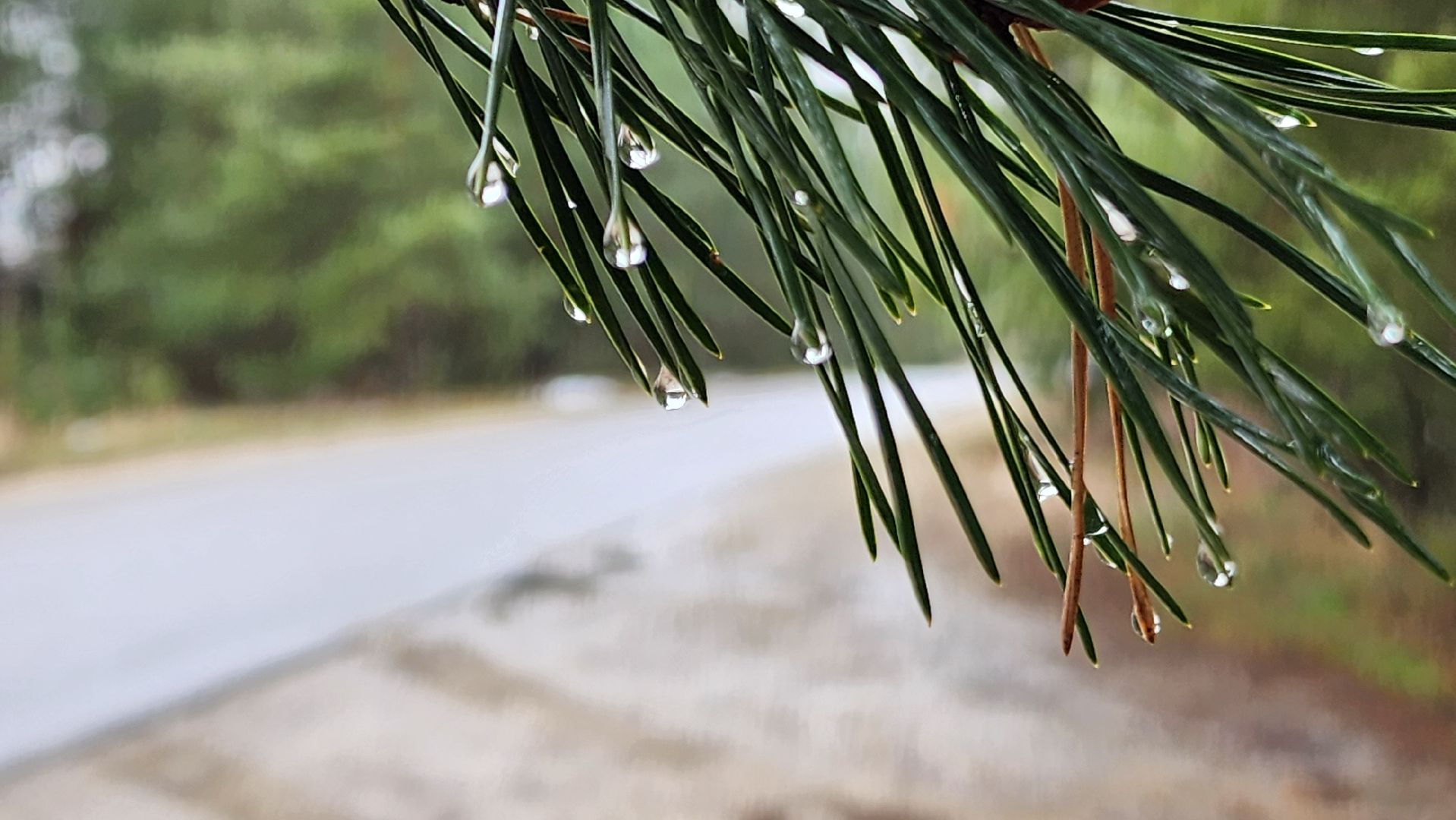 ступино, спорт, легкая отлетика,
