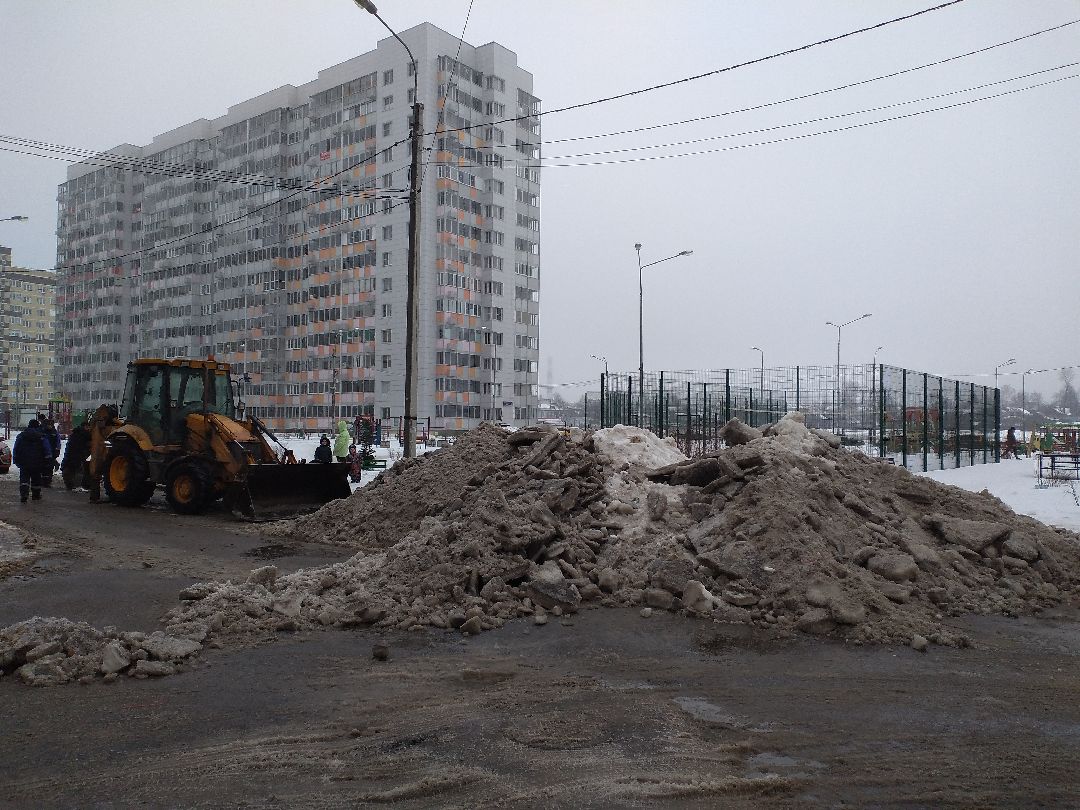 Лосино-Петровск, общество