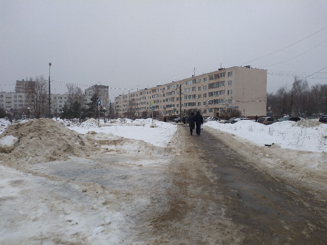 Лосино-Петровск, общество