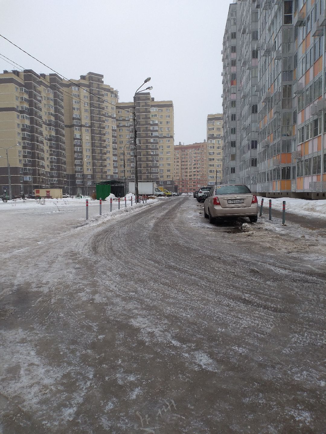 Лосино-Петровск, общество