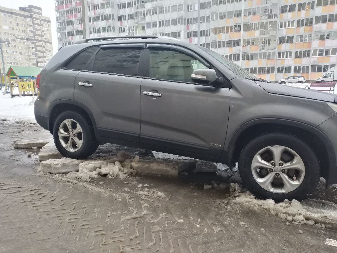 Лосино-Петровск, общество