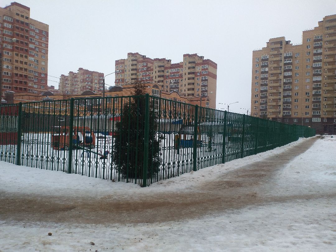 Лосино-Петровск, общество