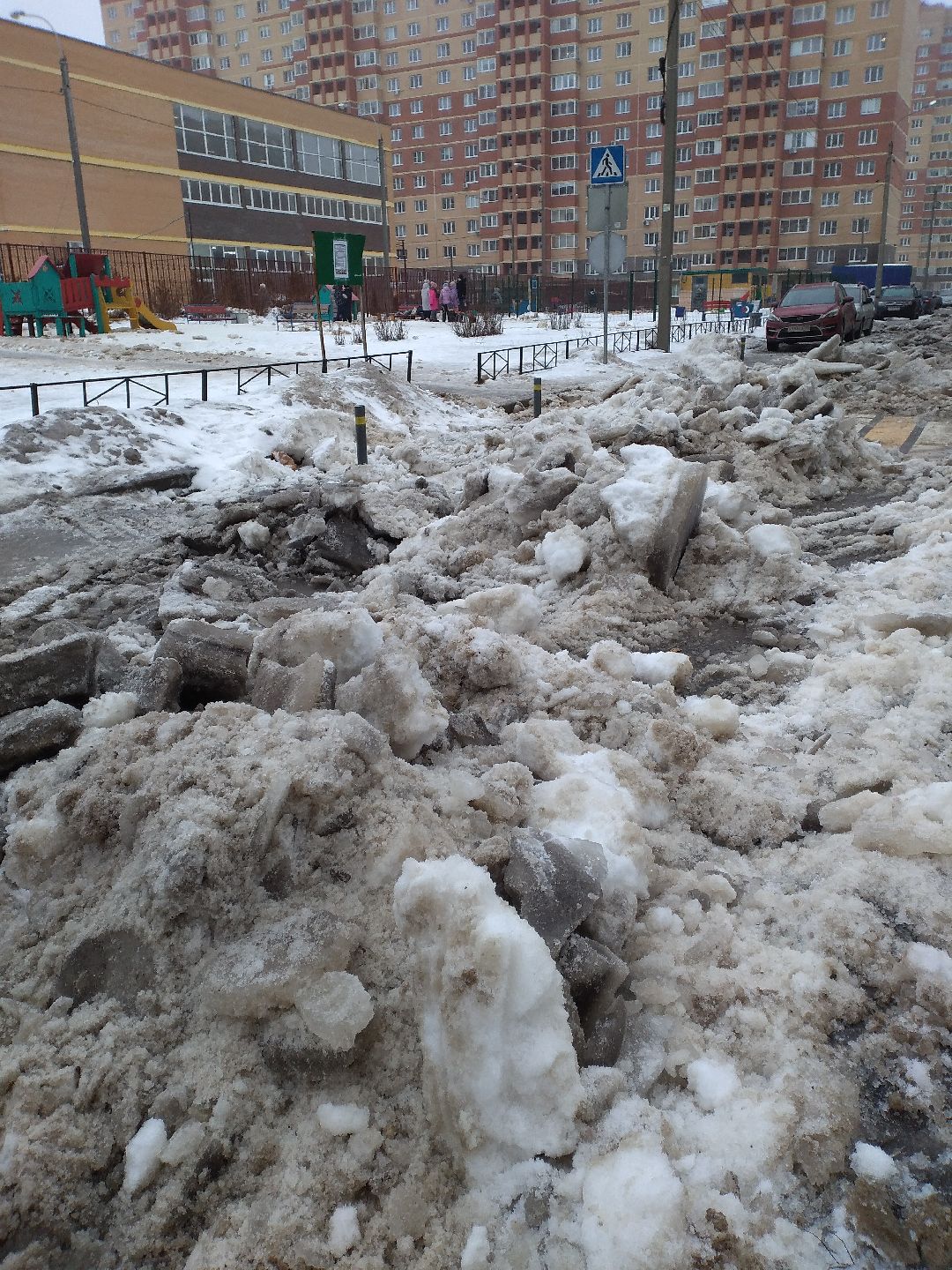 Лосино-Петровск, общество