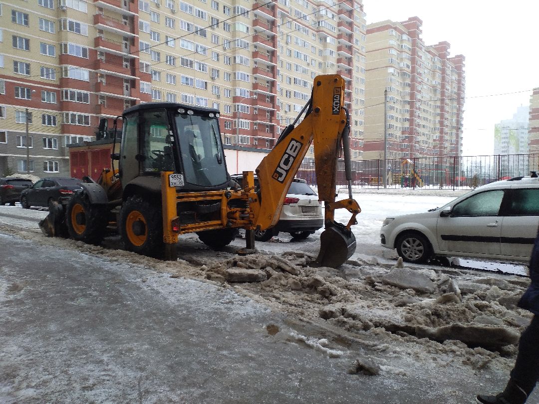 Лосино-Петровск, общество