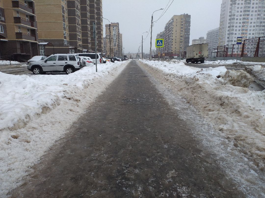 Лосино-Петровск, общество