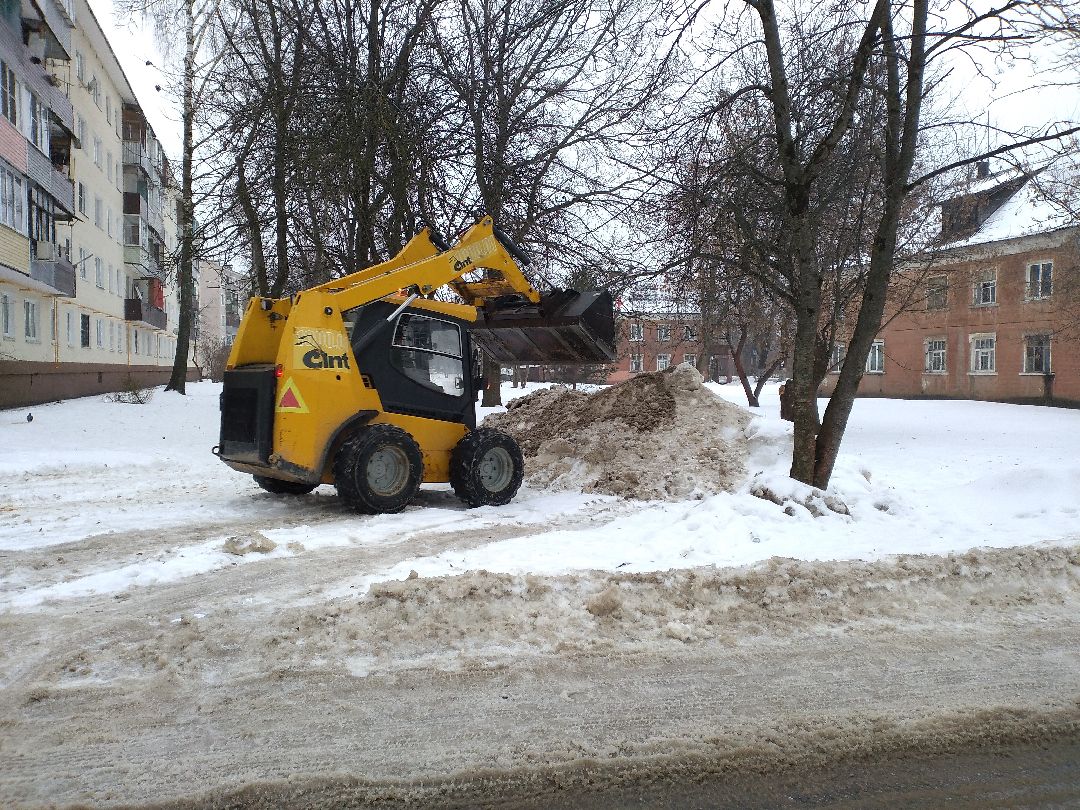 Лосино-Петровск, общество