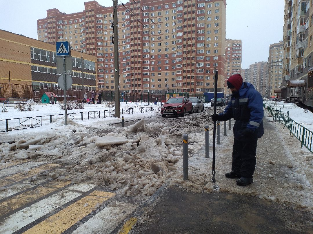 Лосино-Петровск, общество