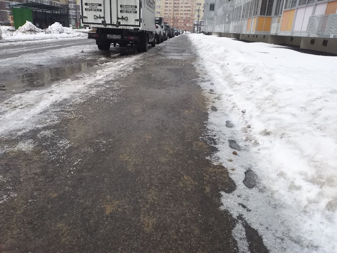 Лосино-Петровск, общество