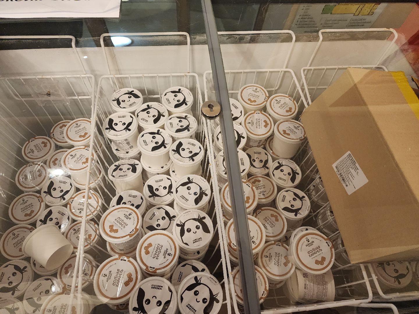 долгопрудный, дк вперед, день труда,днпп, мфц, физтех-колледж,