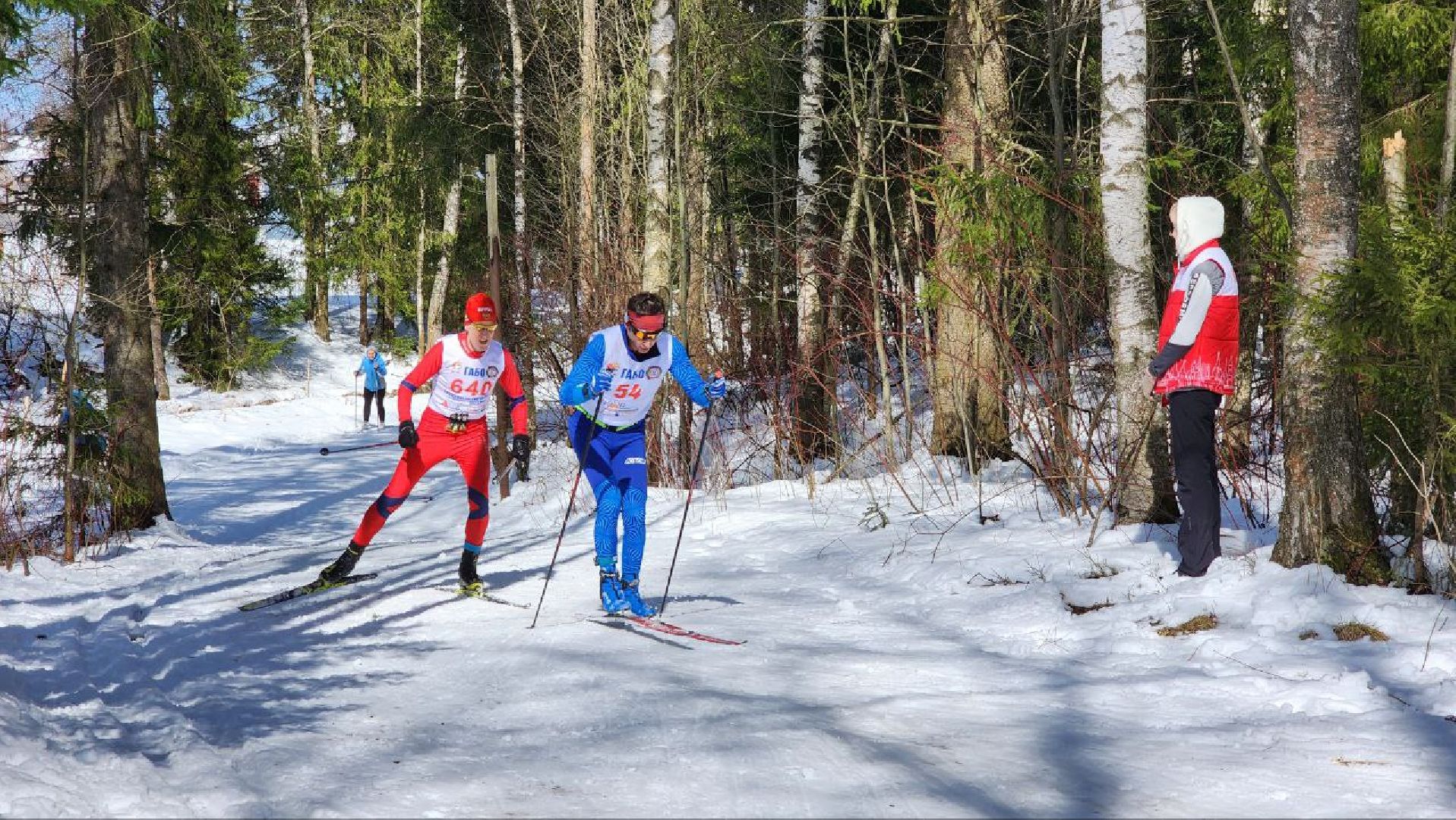 Дмитров, Габовская лыжня, Минспорта,Лыжный марафон,