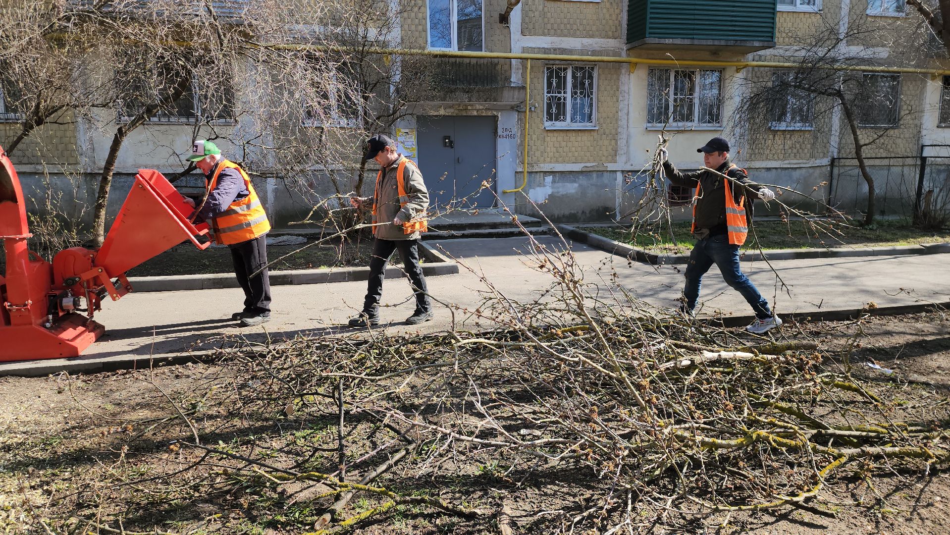 серпухов, подмосковье, убрали дерево,