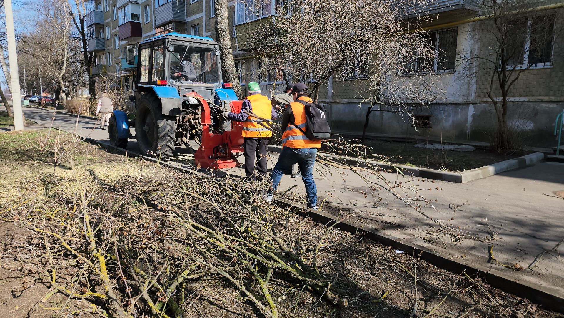 серпухов, подмосковье, убрали дерево,
