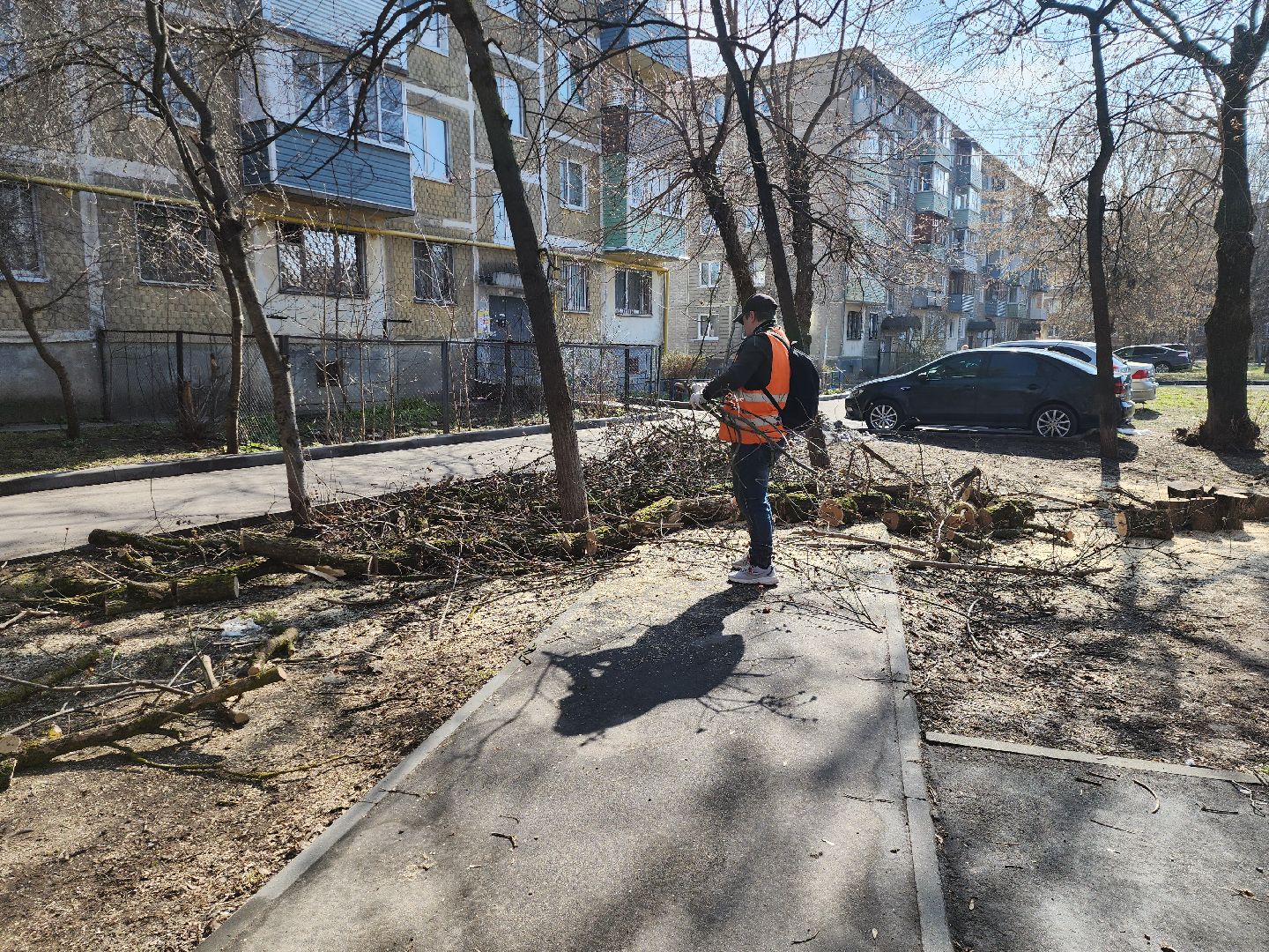 серпухов, подмосковье, убрали дерево,