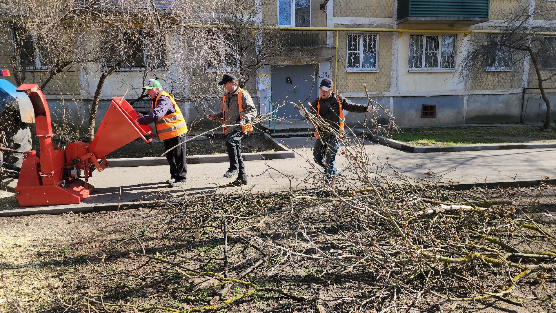 серпухов, подмосковье, убрали дерево,