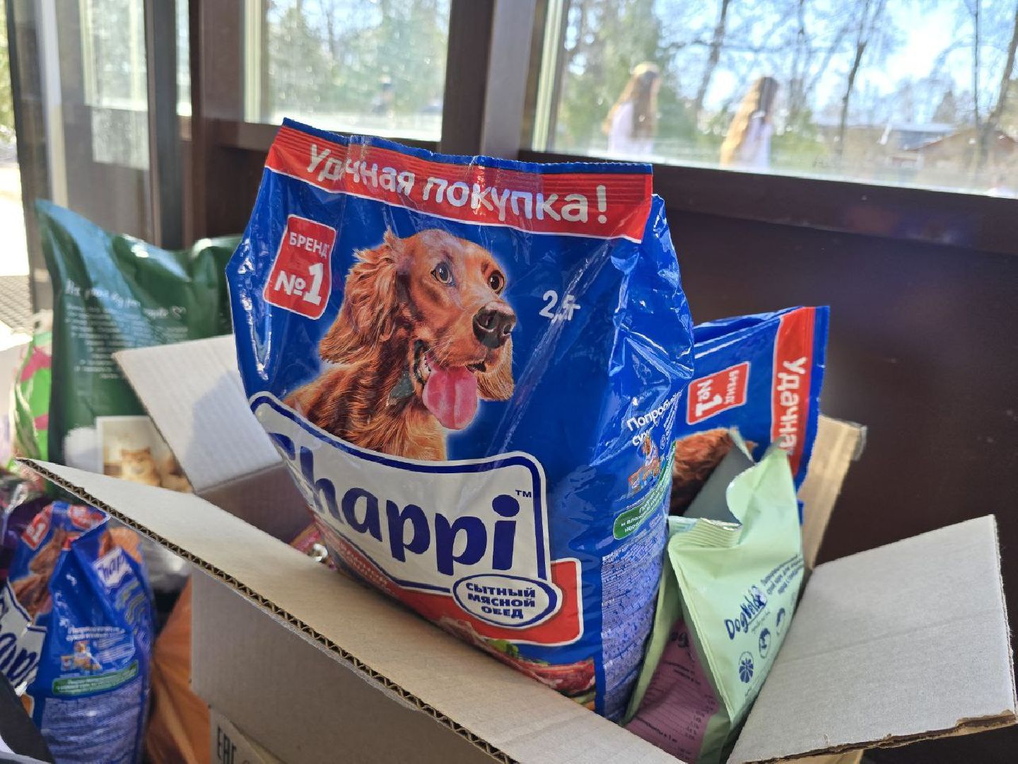 можайск, можайский муниципальный округ, подмосковье,  приют для бездомных животных, помощь, волонтеры,