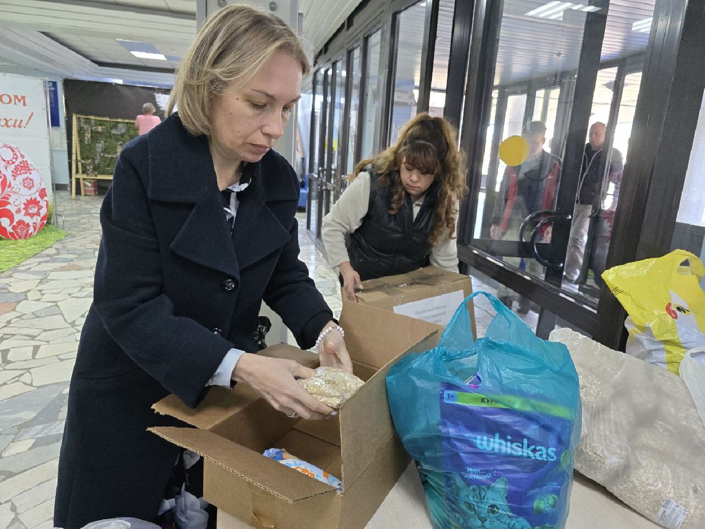 можайск, можайский муниципальный округ, подмосковье,  приют для бездомных животных, помощь, волонтеры,