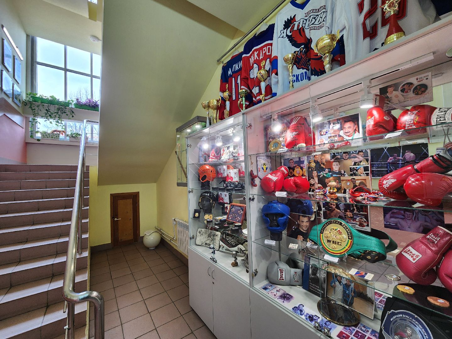 Чехов, улица Мира 9а, спортивный комплекс надежды россии, музей спорта, экспозиция, награды, спортивная форма, атрибутика, сувениры, аксессуары, автографы, чемпионы олимпийских игр, клуб Чеховские медведи, гандбол, бокс, хоккей, синхронное плавание, Александр Черноиванов,