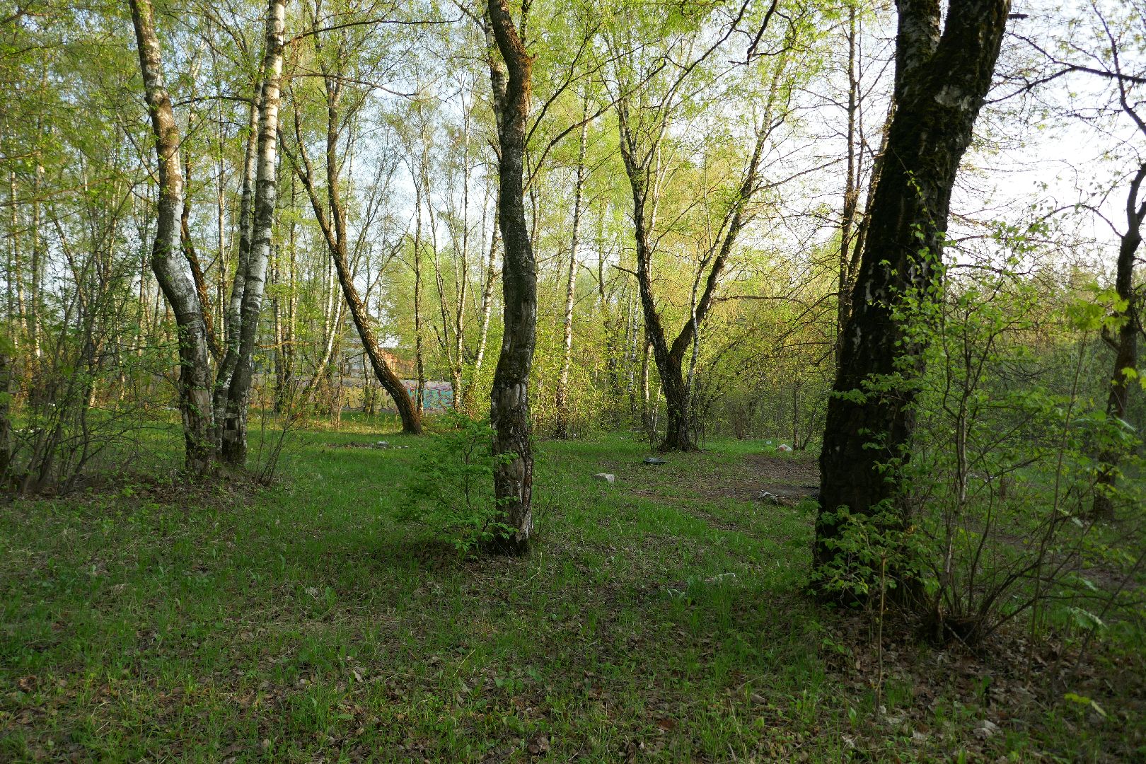 Подольск, благоустройство, власть, ЖКХ