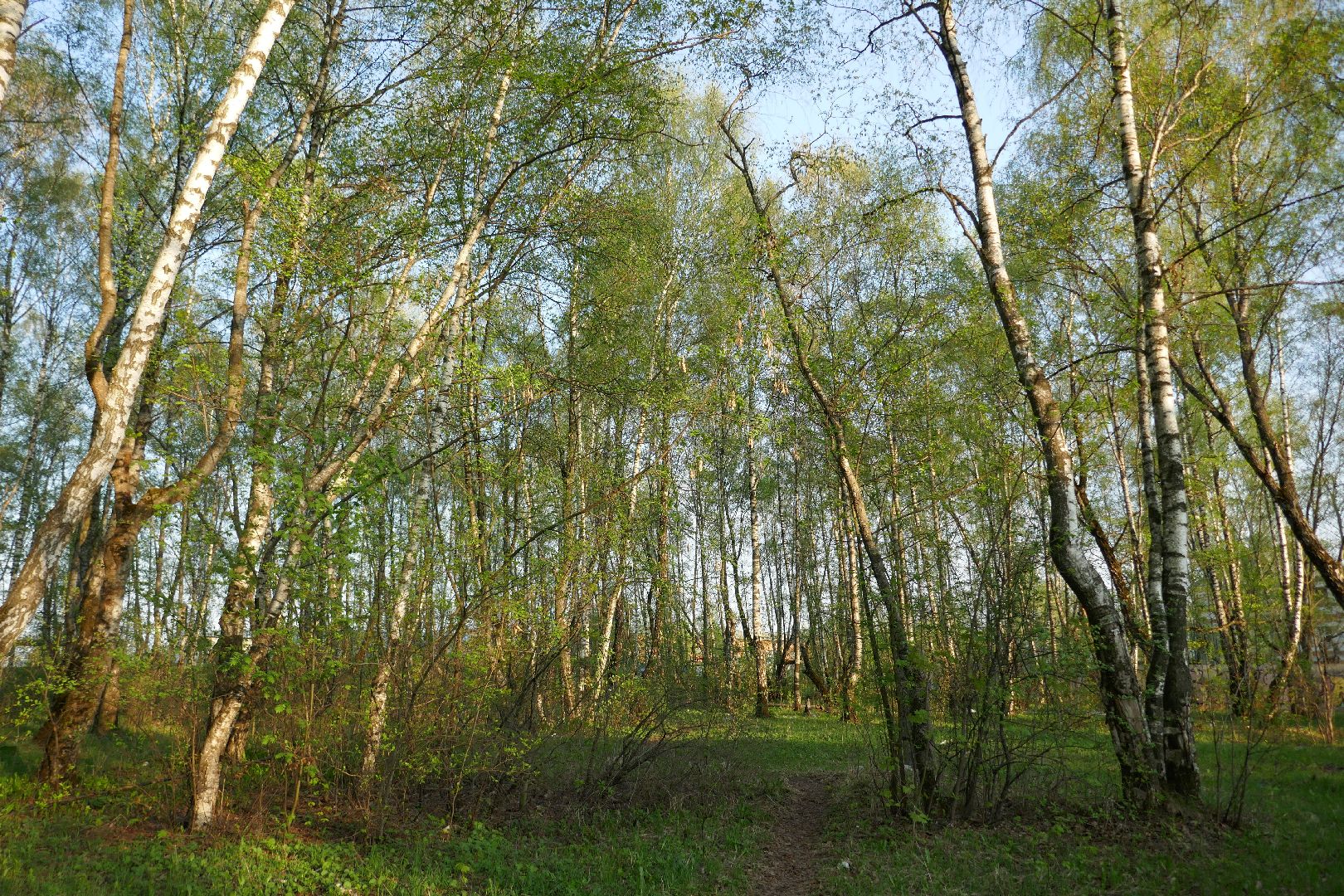 Подольск, благоустройство, власть, ЖКХ