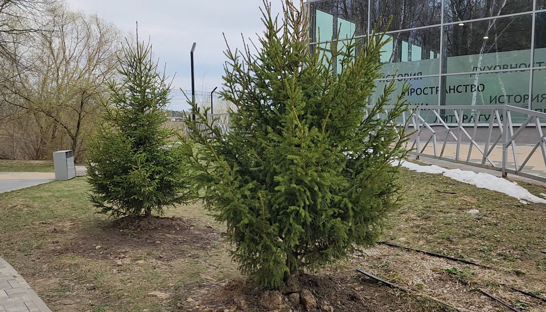 Благоустройство, Лес, Деревья, Кустарники,