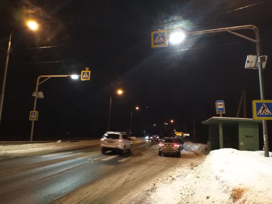 Лосино-Петровский, общество