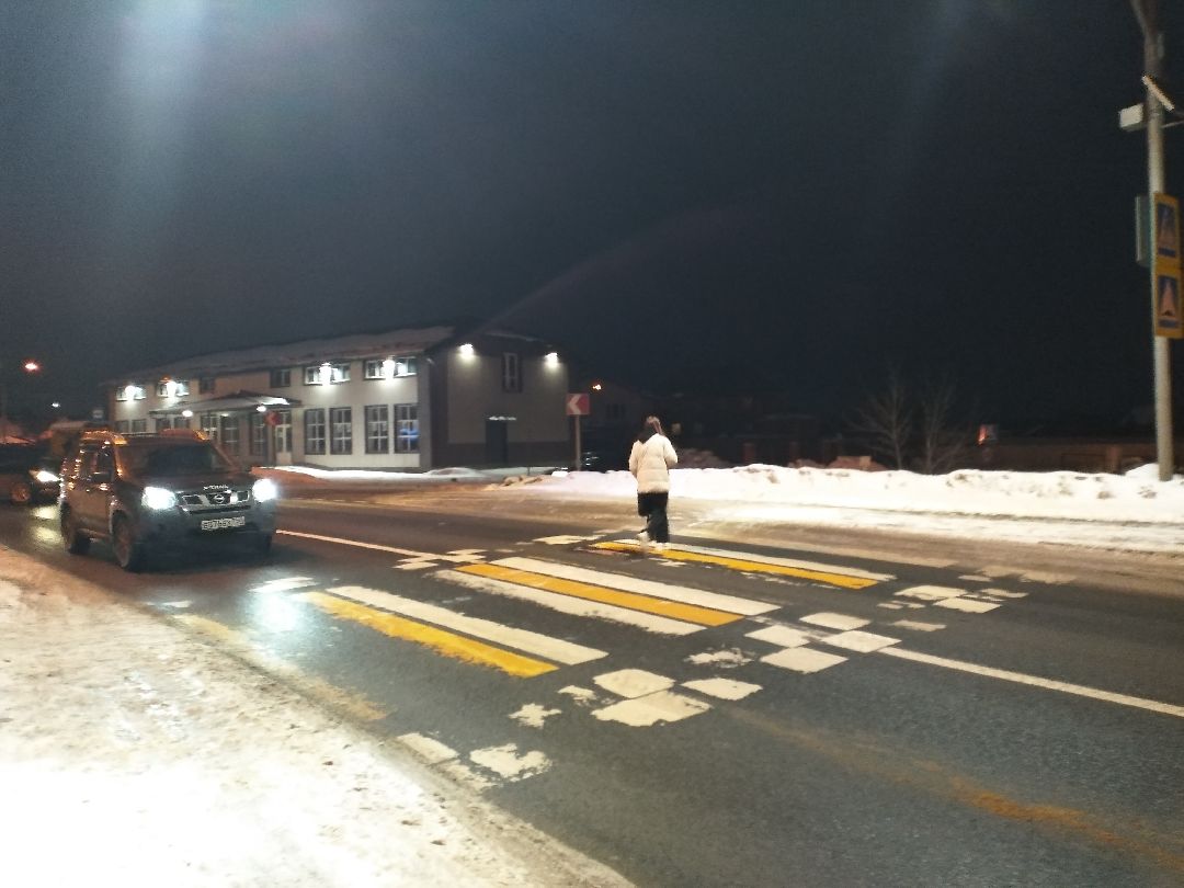 Лосино-Петровский, общество