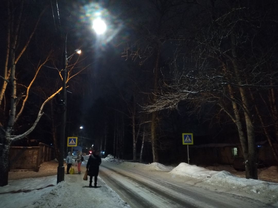 Лосино-Петровский, общество