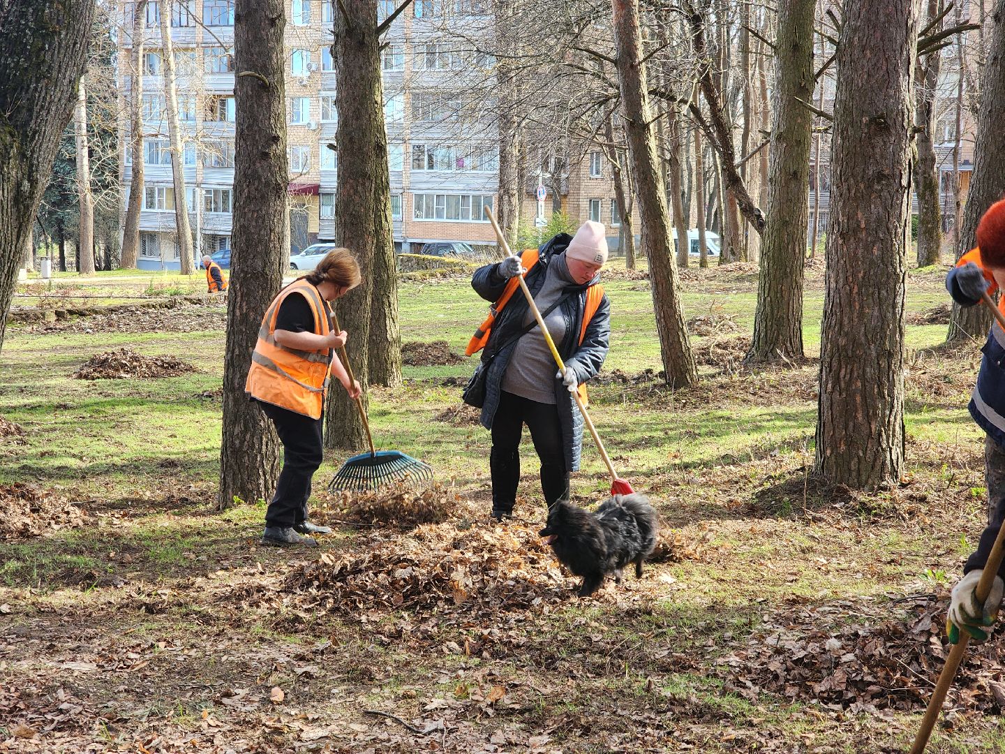 пущино, серпухов, благоустройсво, места памяти,