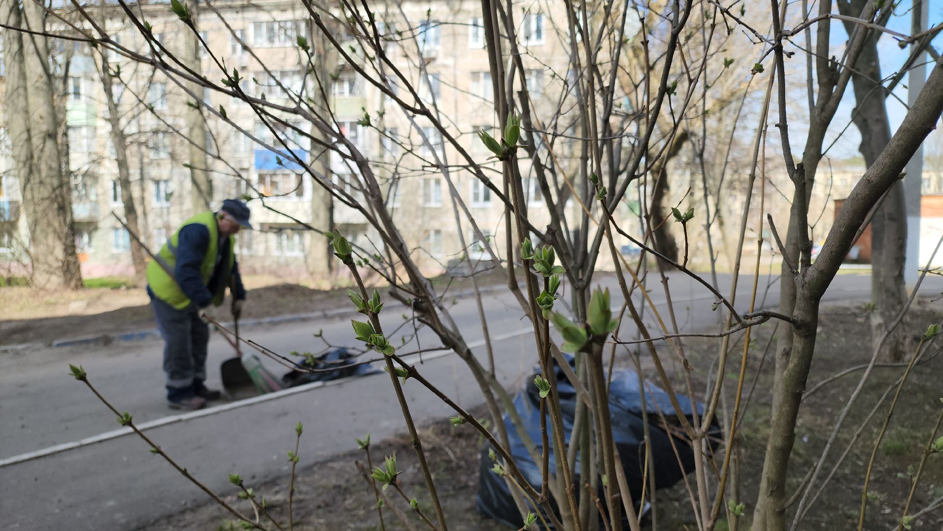 кашира, жкх, коммунальная служба, уборка, чистота, подъезды, придомовая территория,