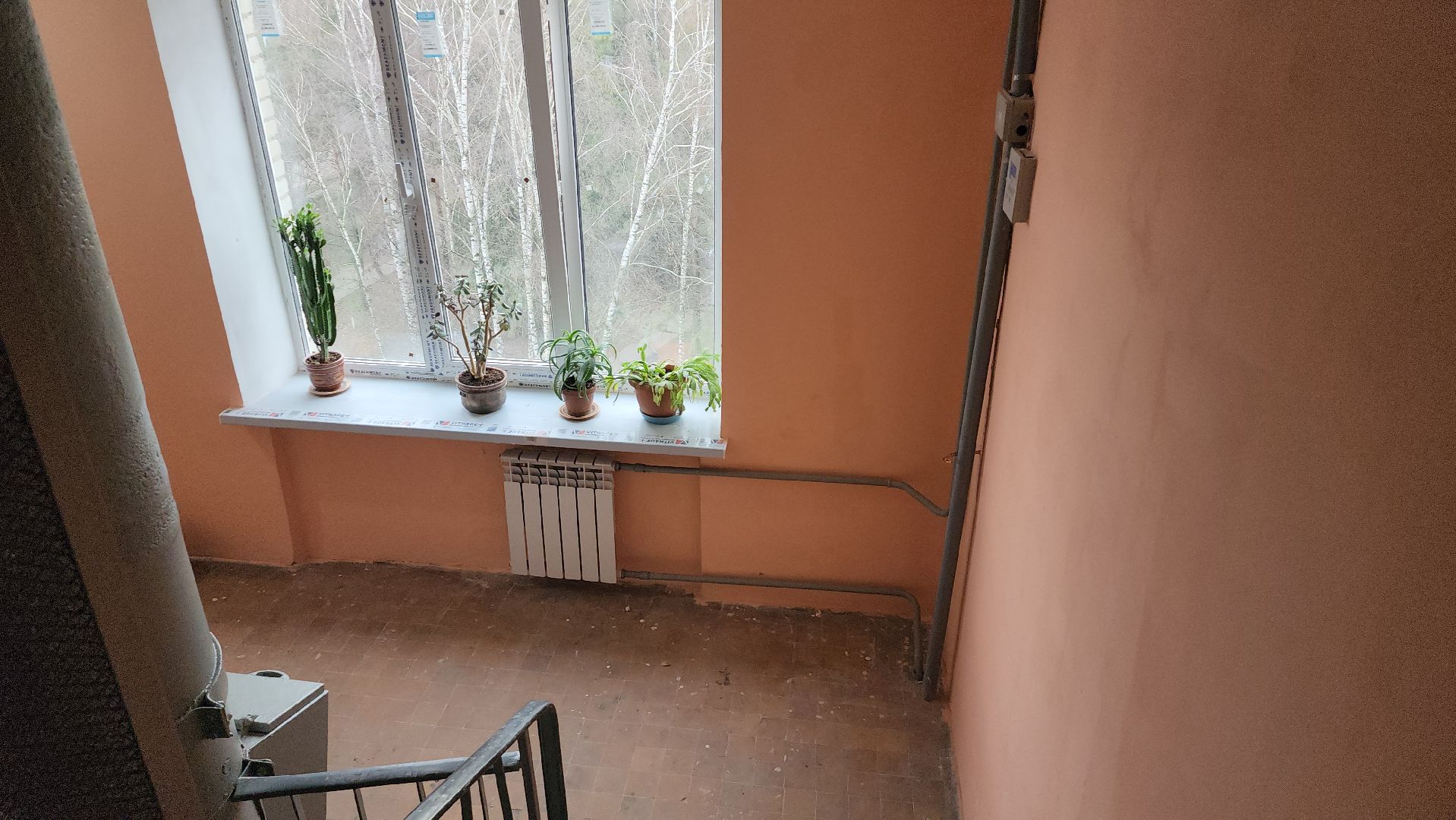 ремонт подъезда, покраска стен, текущий ремонт мкд, щелково-3,