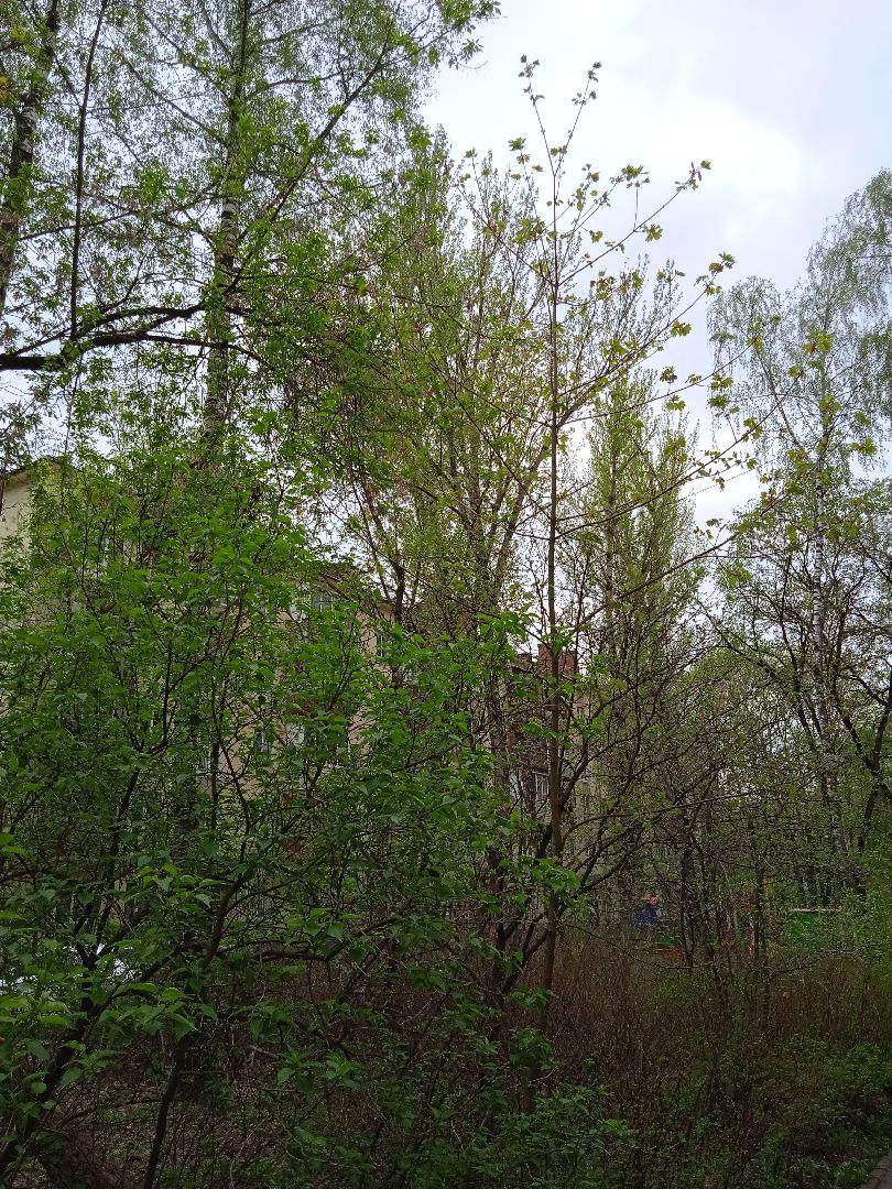 отключение, отопление, отопительный, сезон, завершение