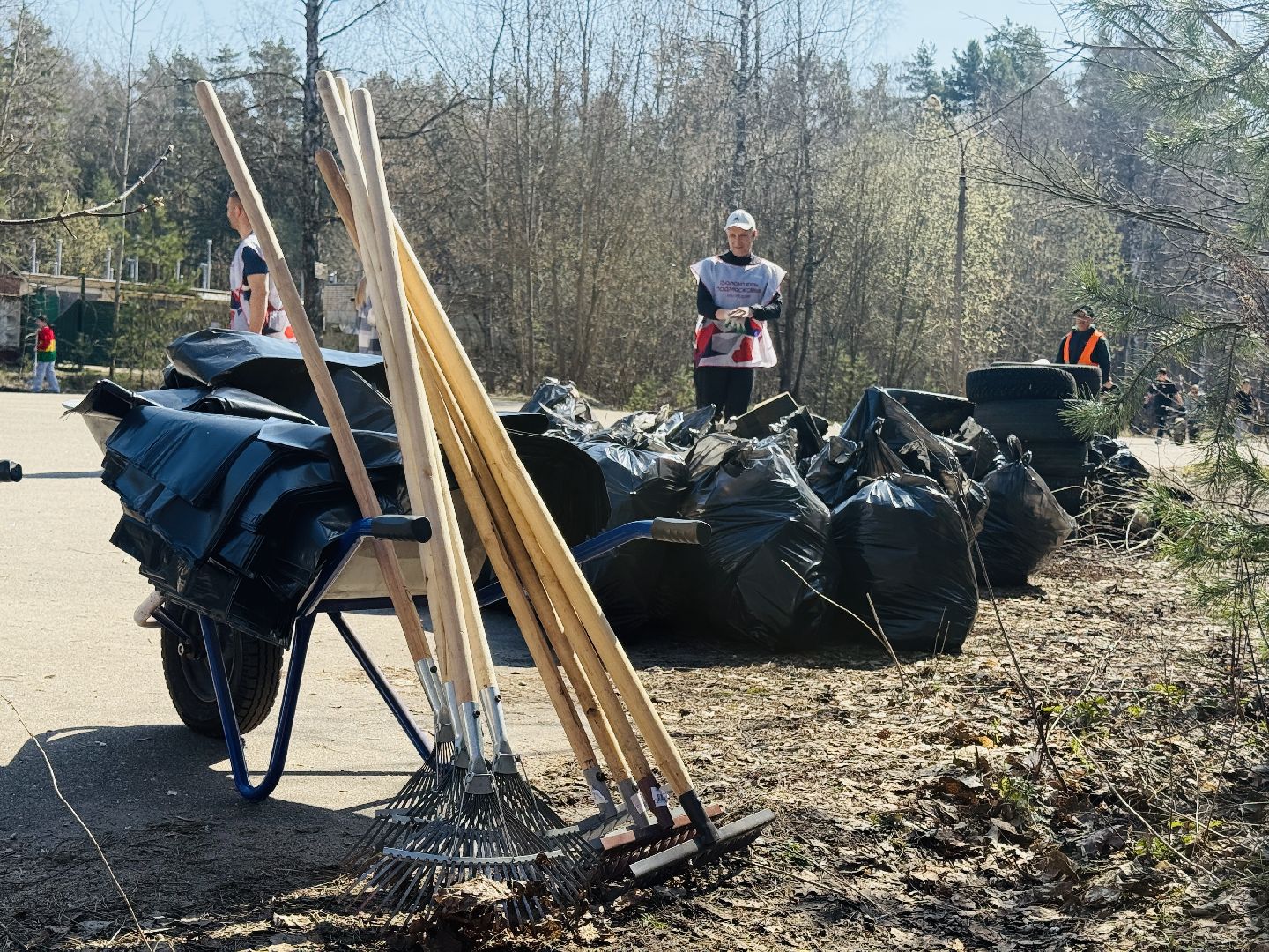 раменское, субботник, волонтеры, молодежь,