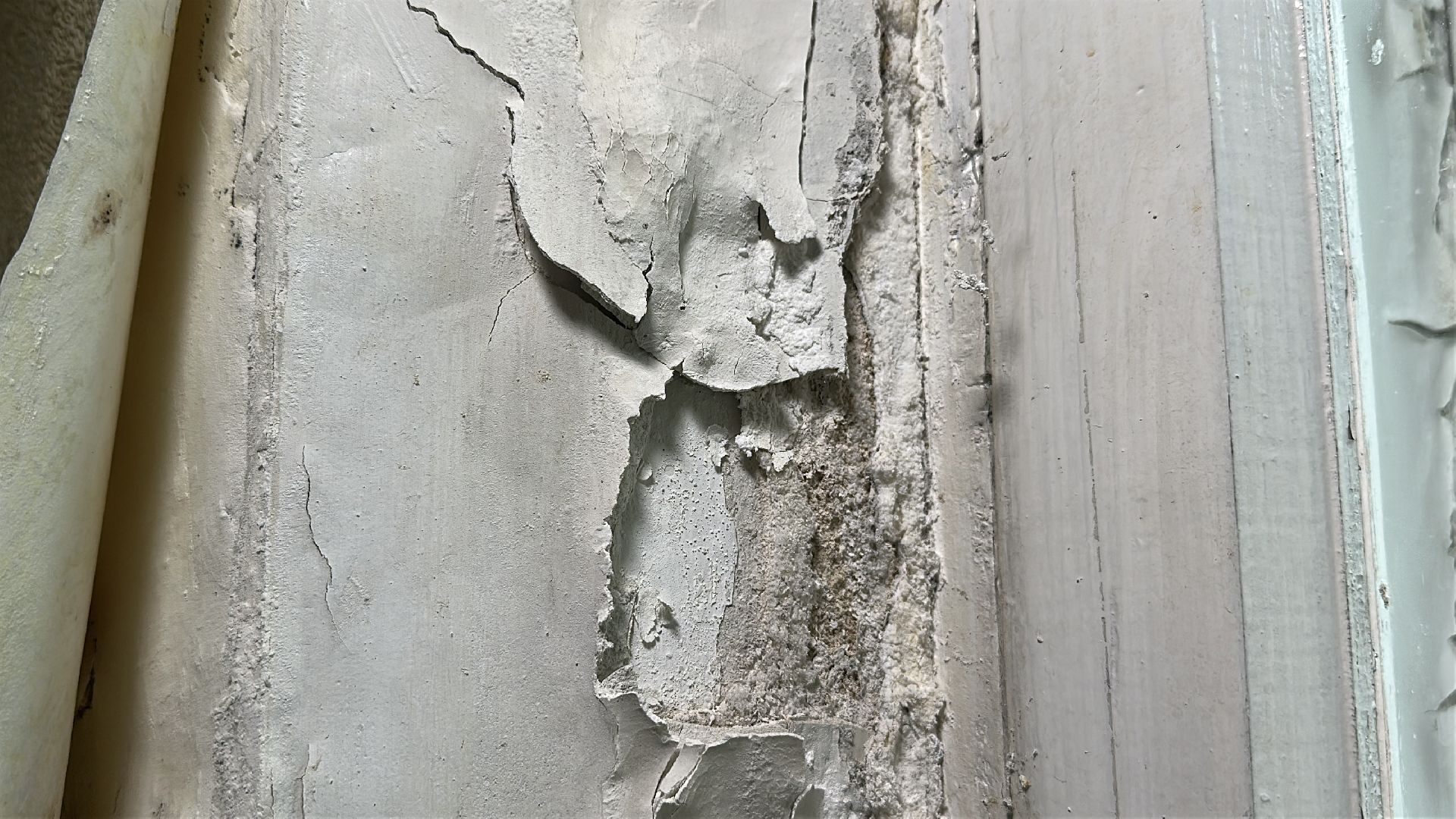 клин, общество, проверка объектов,