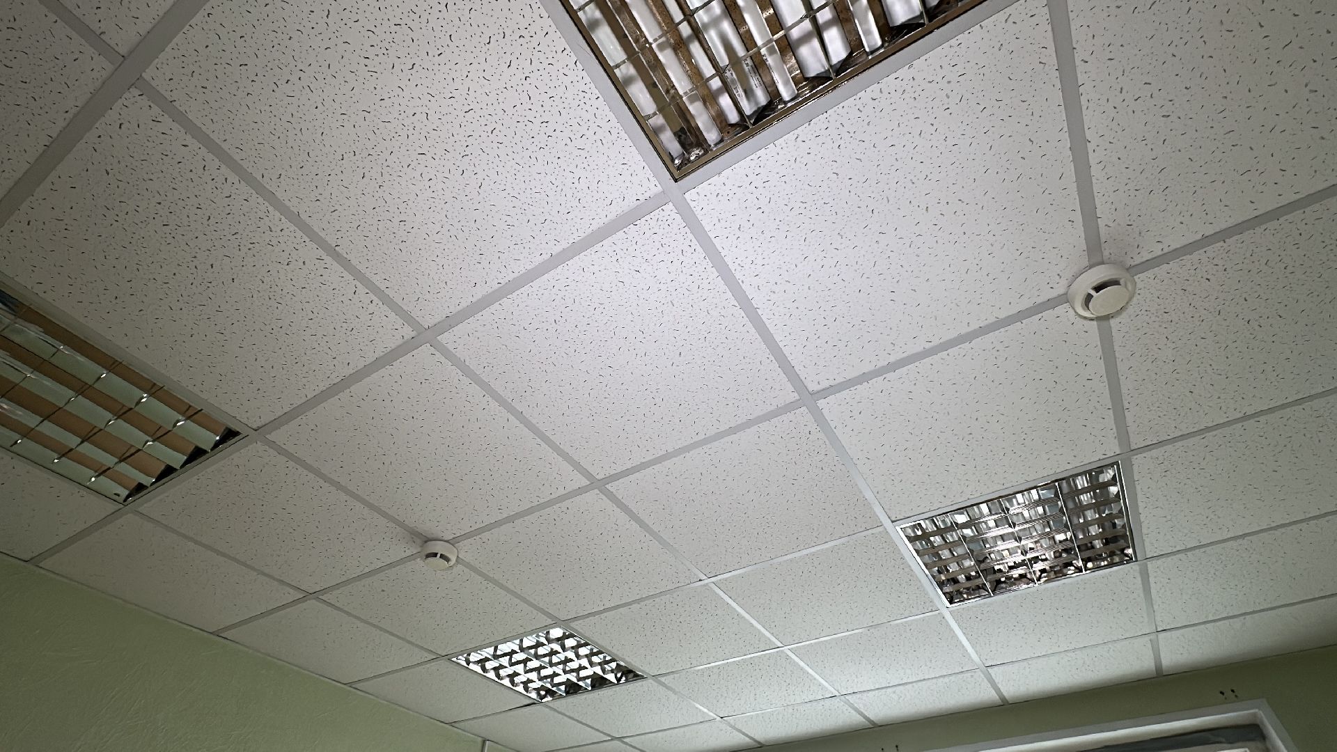 клин, общество, проверка объектов,