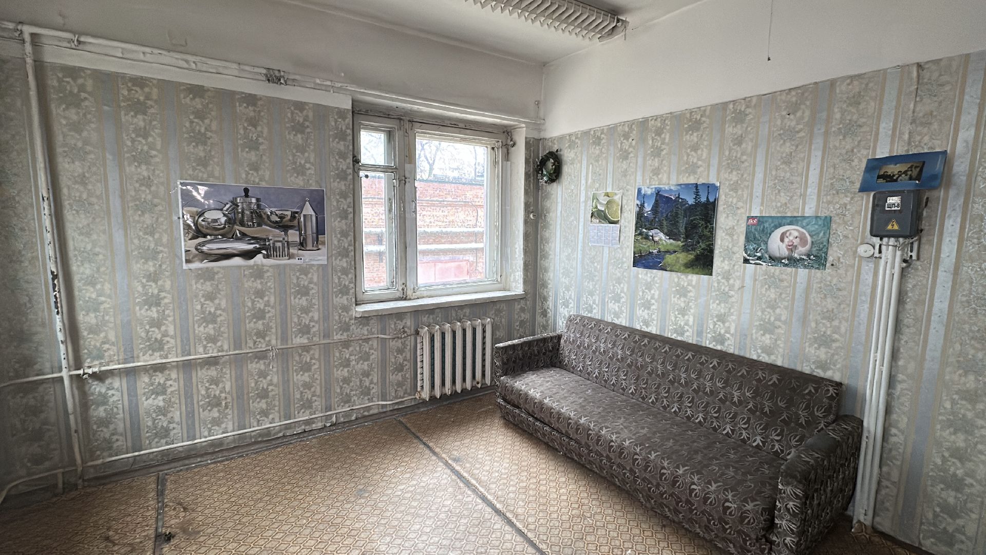 клин, общество, проверка объектов,