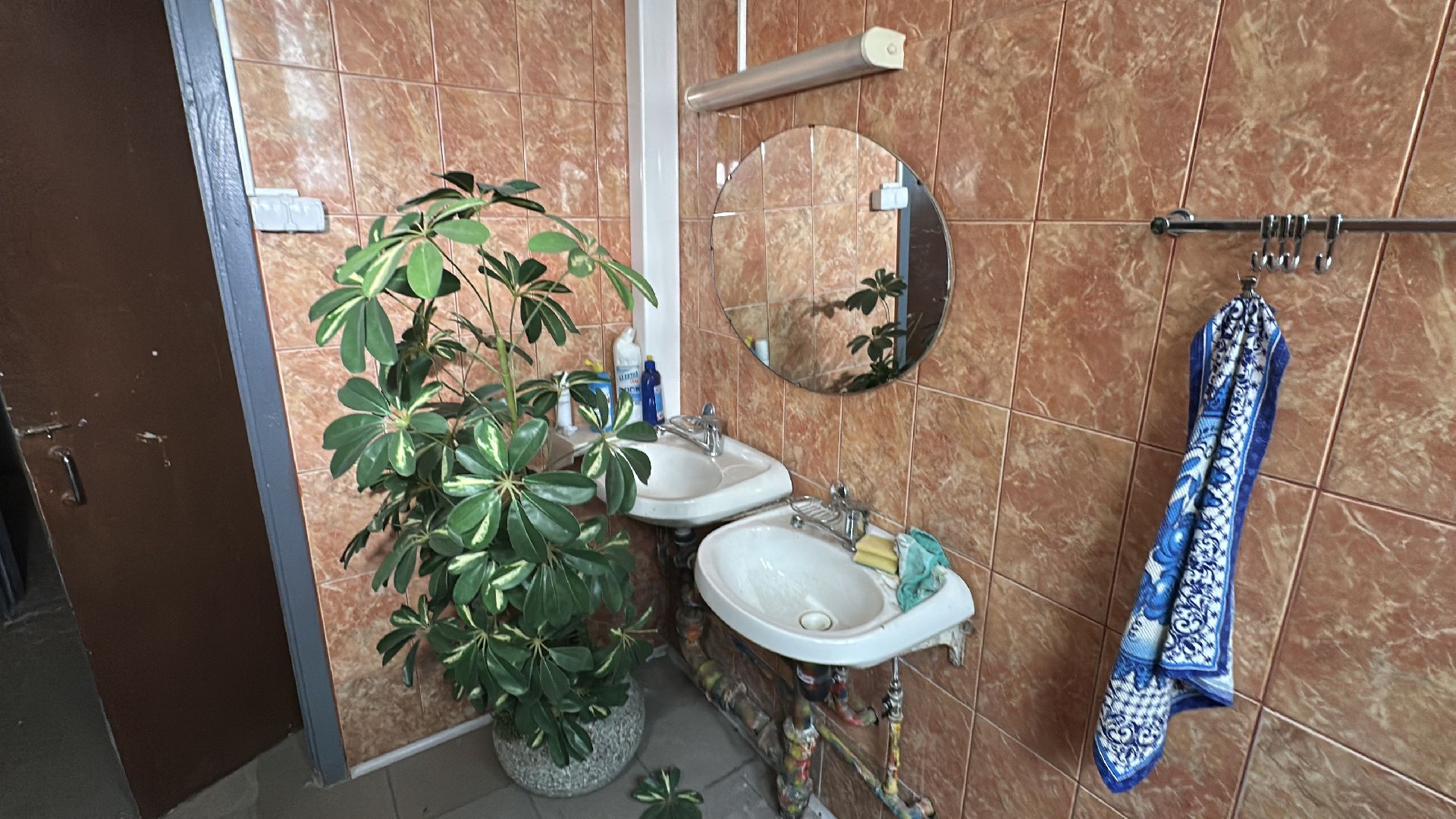 клин, общество, проверка объектов,