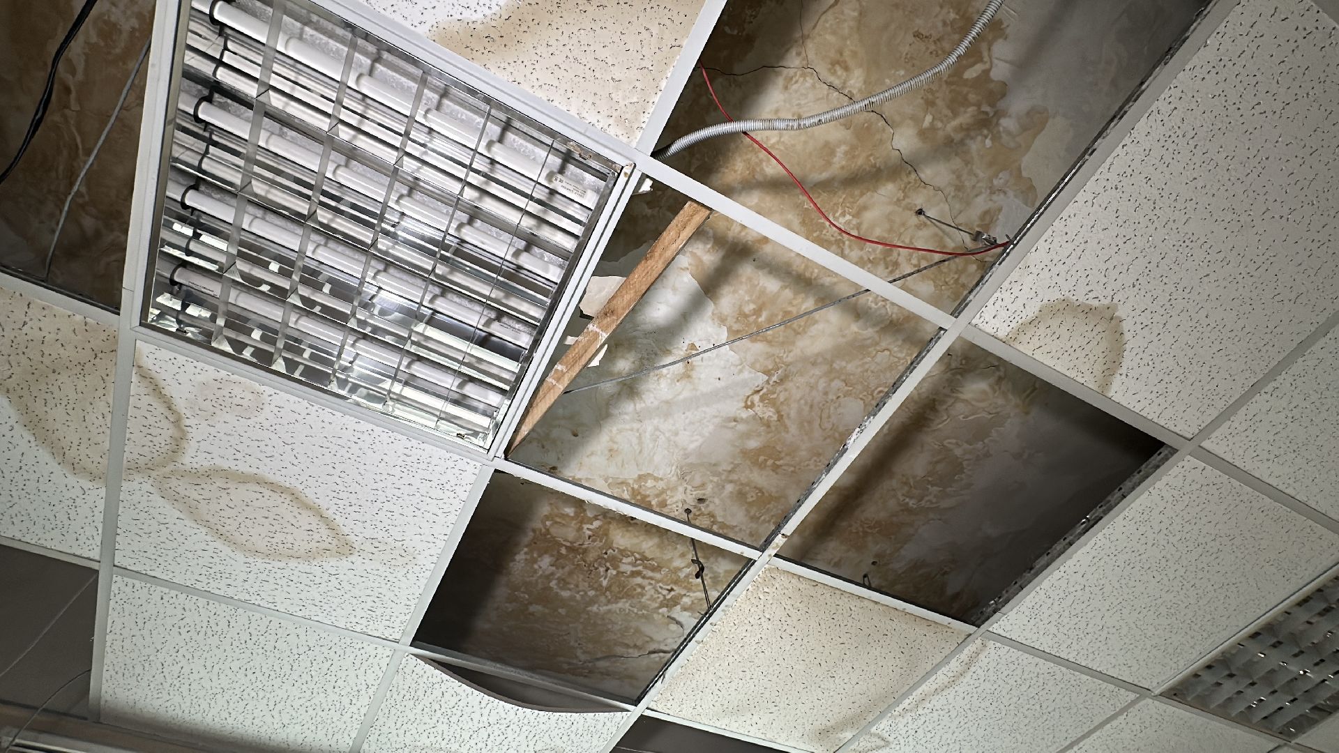 клин, общество, проверка объектов,