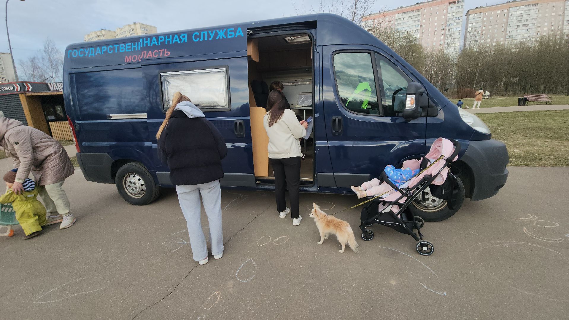 долгопрудный, чипирование домашних животных, вакцинация от бешенства, мобильный пункт вакцинации, парк на молодежной,