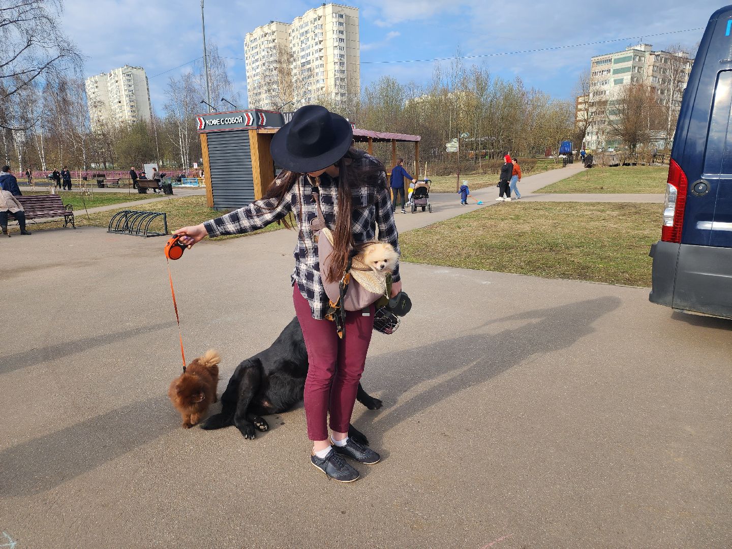 долгопрудный, чипирование домашних животных, вакцинация от бешенства, мобильный пункт вакцинации, парк на молодежной,