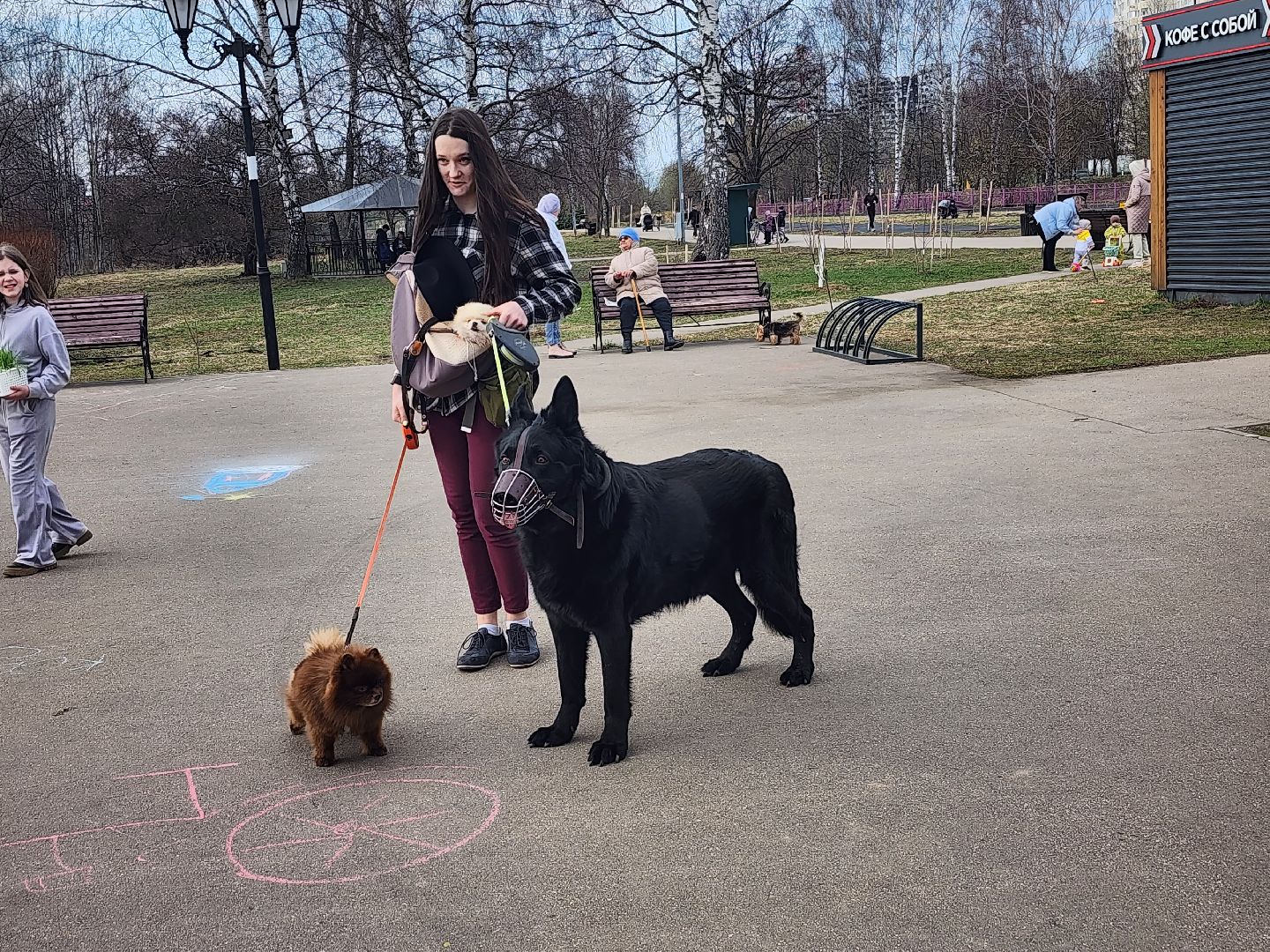 долгопрудный, чипирование домашних животных, вакцинация от бешенства, мобильный пункт вакцинации, парк на молодежной,