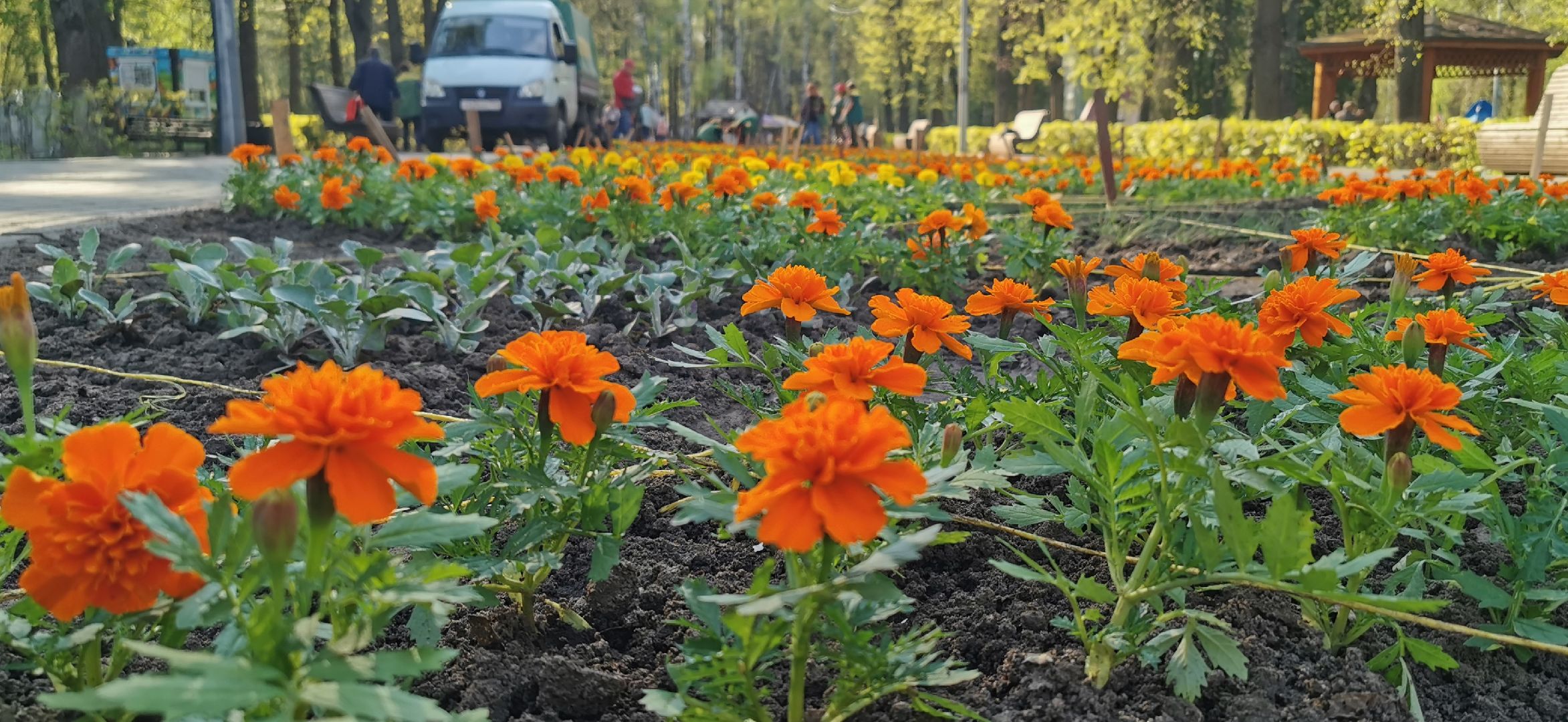 благоустройство, озеленение,