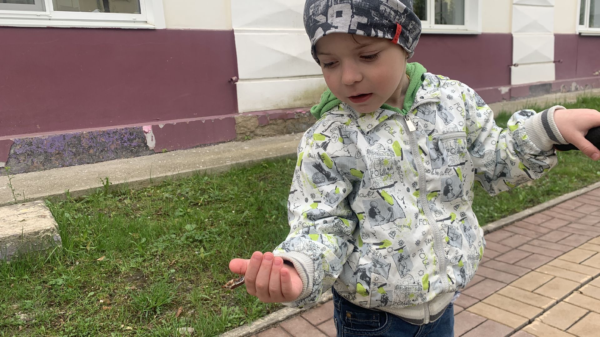 Ступино, майский жук, хрущ