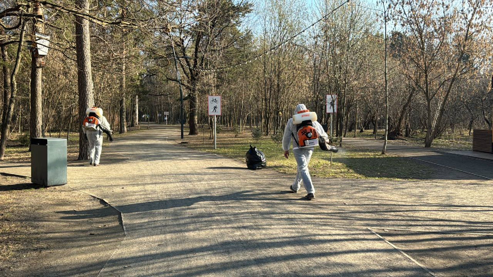 клещи, обработка, парки балашихи,