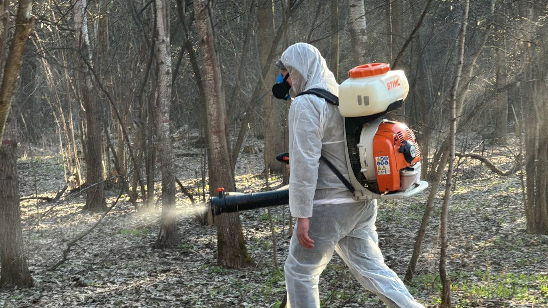 клещи, обработка, парки балашихи,