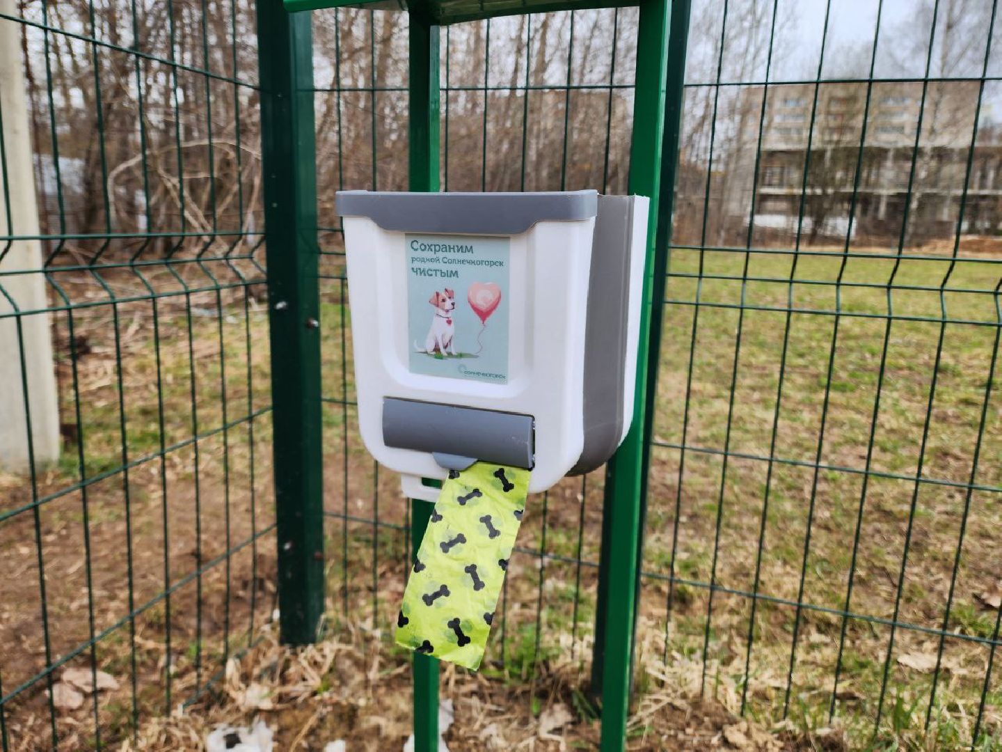 солнечногорск, выгул собак, жители, урны для уборки, питомец,